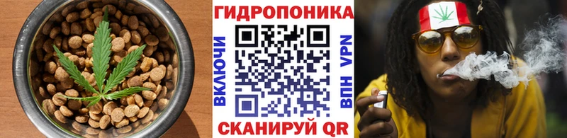 Canna-Cookies конопля Княгинино