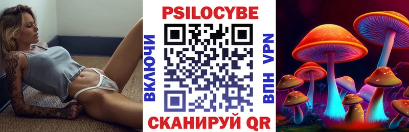где продают   Княгинино  Псилоцибиновые грибы Cubensis 